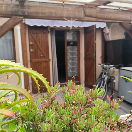 St Cyprien Maison Avec Terrasse Et 2 Velos Saint-Cyprien (Pyrenees-Orientales)